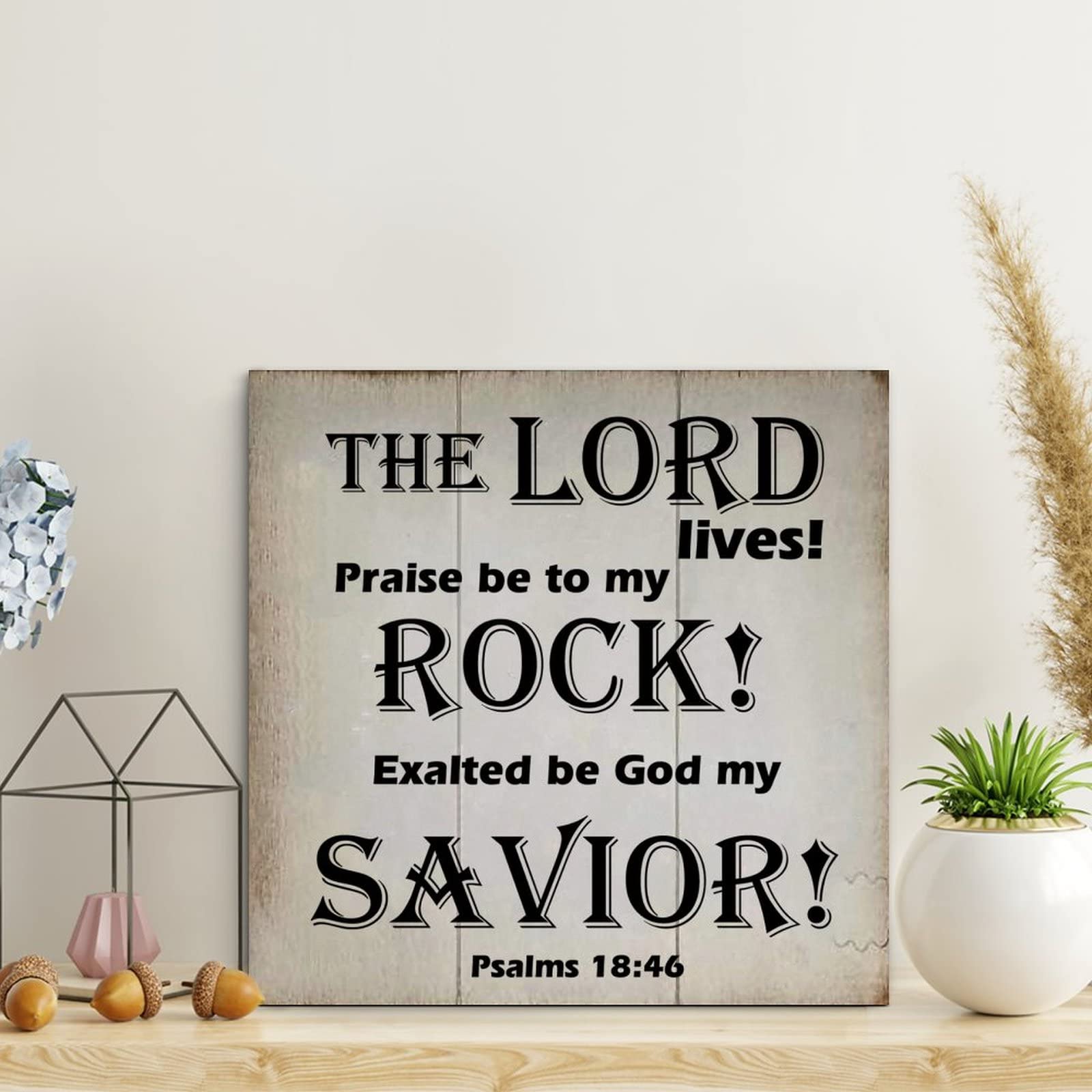 LITTLEGROVE SEEDS Vintage Wood Signs with Quotes The LORD Lives! Praise Be to My Rock! Wood Plaque Scripture Print Decor Wall Art Wall Hanger Sign Home Decor for Bedroom Living Room 10x10in
