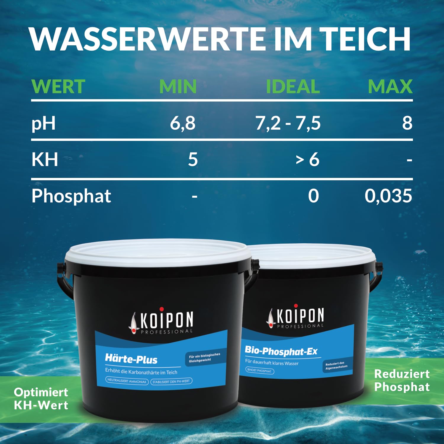 KOIPON Immerklar 1 kg, Natürlicher Teichwasseraufbereiter für dauerhaft klares Teichwasser, Gegen Schwebealgen und trübes Wasser im Gartenteich
