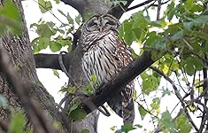 Review Image by Matthew Lala Matthew Lala