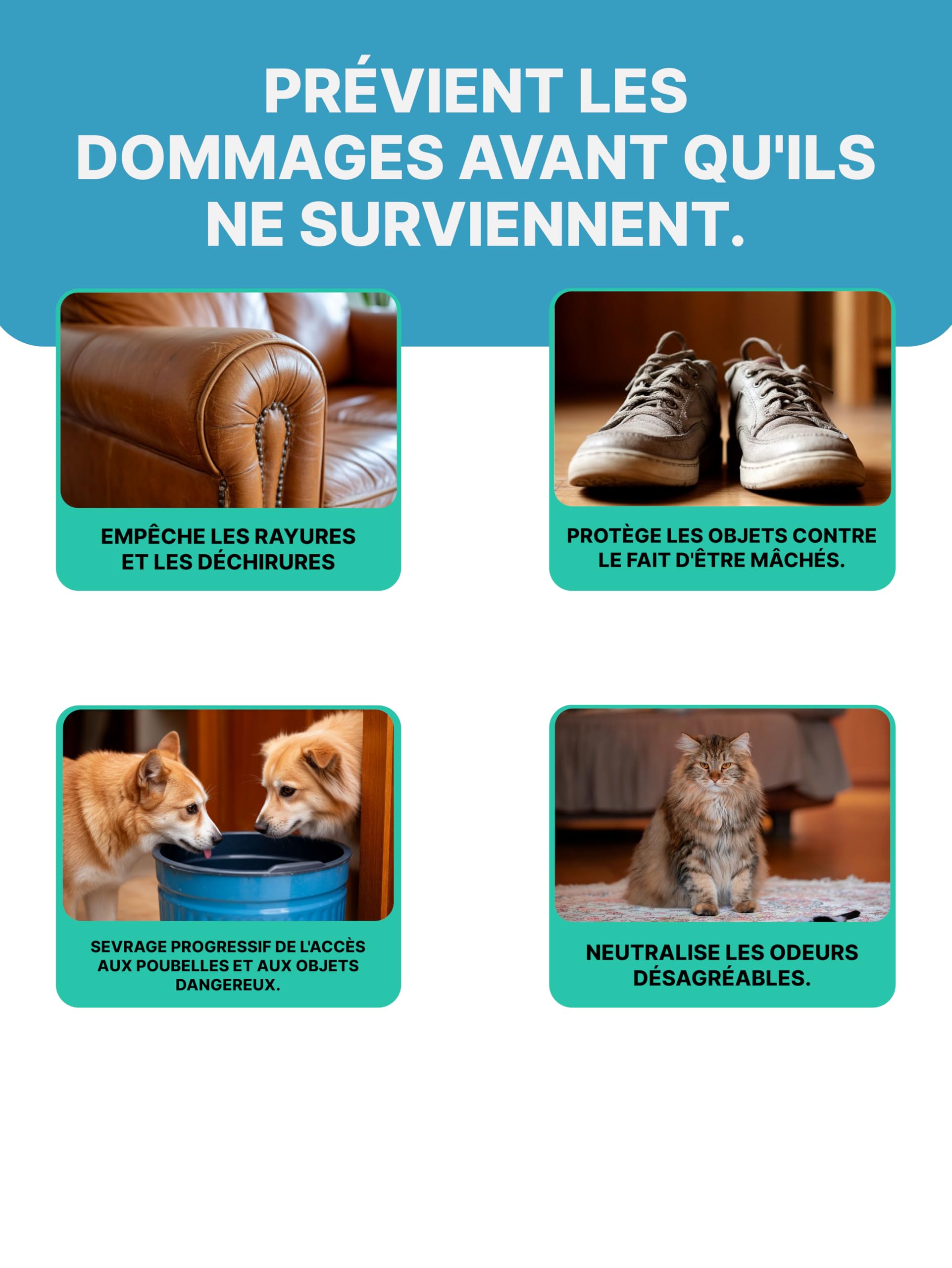 Spray Anti-Pipi pour Chiens et Chats | Spray Répulsif pour Chats | Spray Dissuasion pour Chiens | Répulsif Chat Intérieur | Empêche les Chiens d’Uriner à la Maison | Spray Anti-Pipi 200 ml