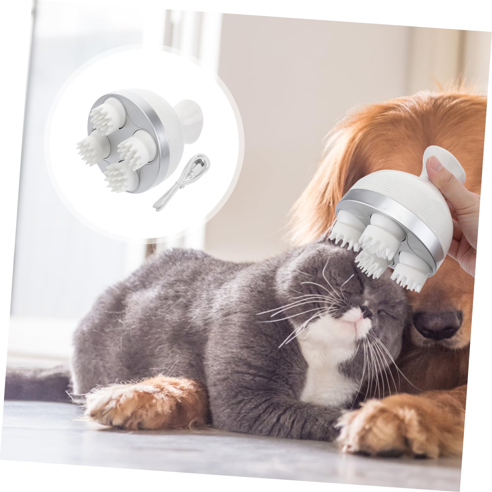Toddmomy Massaggiatore Elettrico Per Animali Domestici Massaggio Profondo e Relax Per Gatti e Cani Ricaricabile Usb Design Omnidirezionale Giocattolo Divertente Accessorio Per Benessere