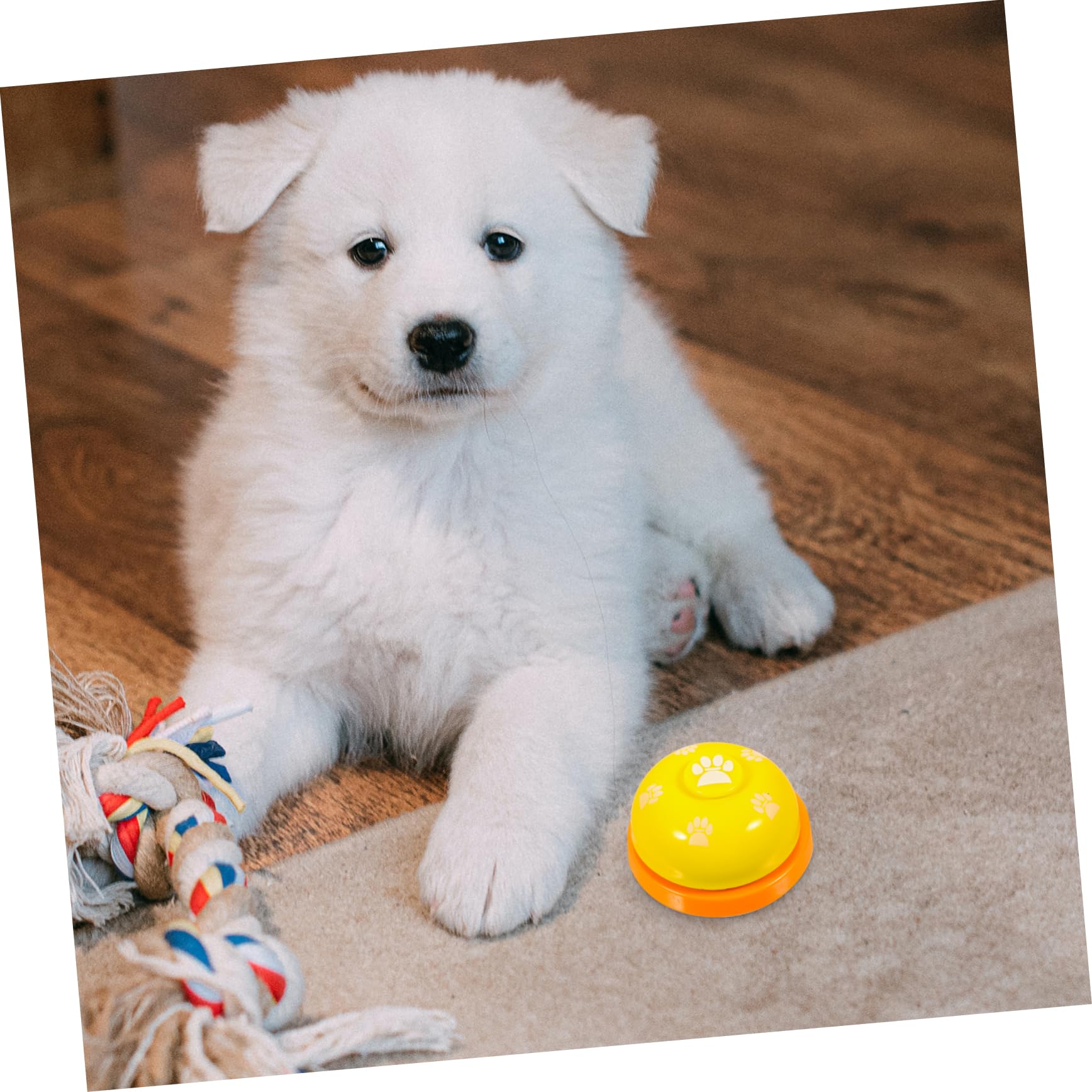 FONDOTIN Puppy Potty Training Bell Dog Bell Toy Interactive Dog Toys for Pet Training Easy to Use