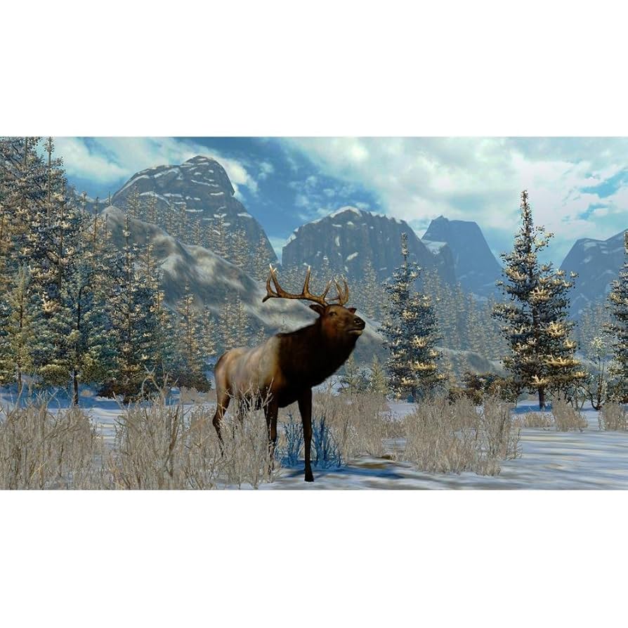 Amazon.com: Cabela's North American Adventures 2011 - Xbox