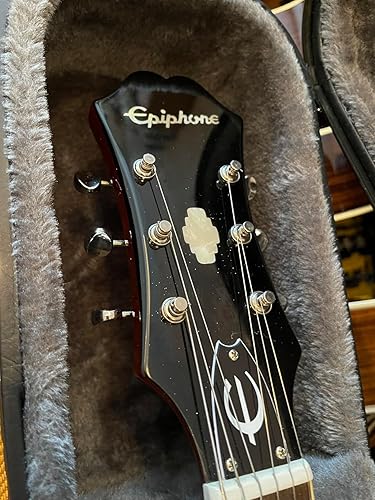 Amazon | Epiphone 940-E519 ハードケース セミアコ用 (エピフォン