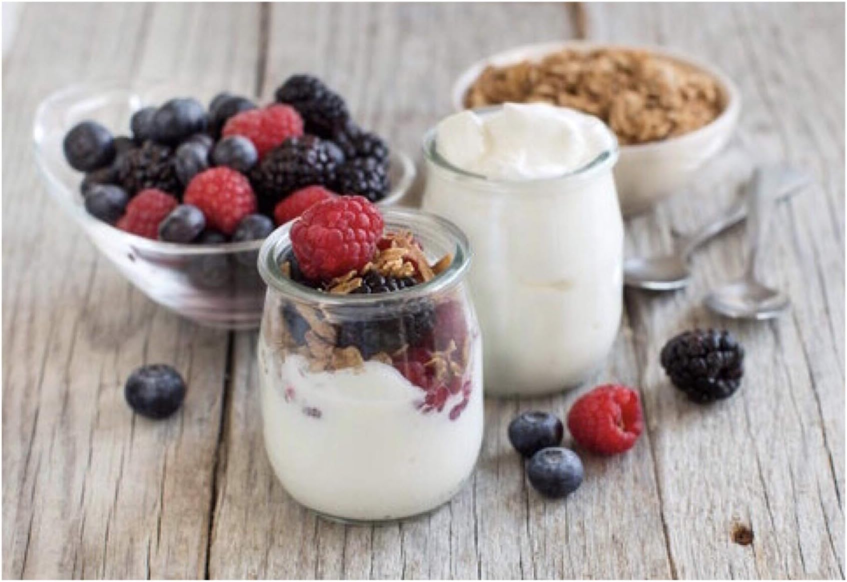Choose any TWO Heirloom Yogurt Starter Cultures OR Sourdough Starters