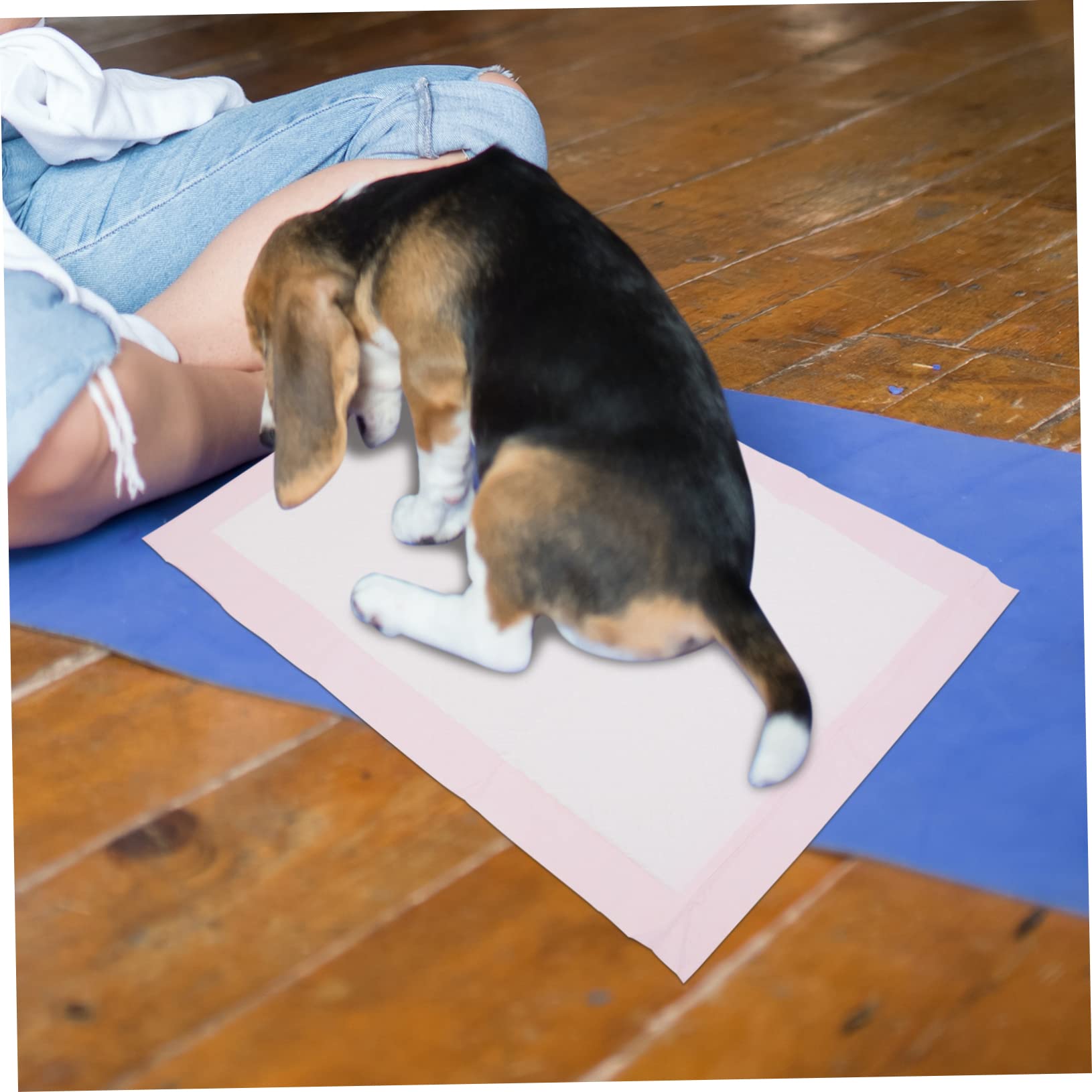 BESTonZON Welpen Unterlagen 90x60 Auslaufsichere Einweg Pipimatten aus Vlies 100 Stück für Kaninchen Hunde und Meerschweinchen