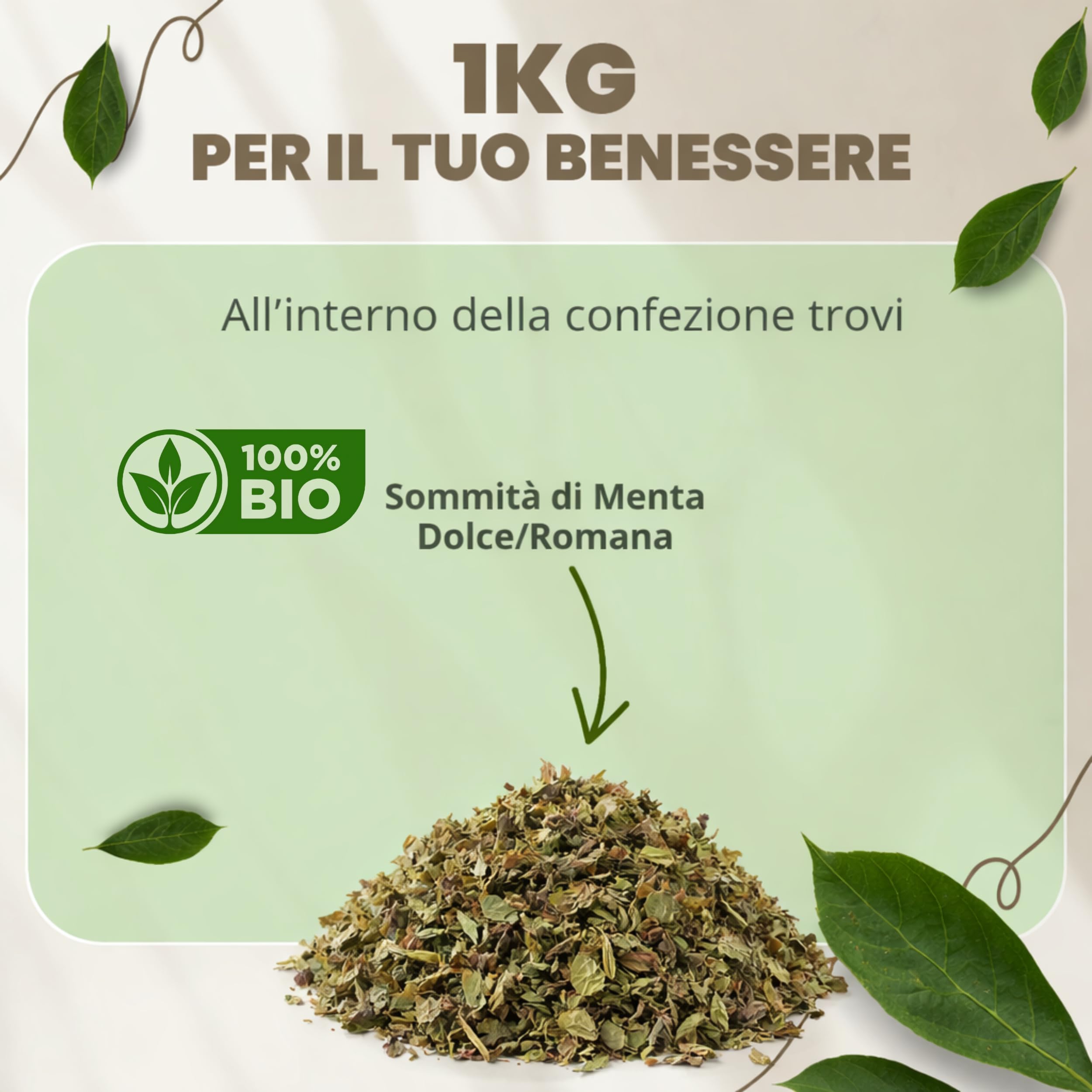 Patrizio Breseghello - Mentastro, Menta Dolce/Romana Sommità Taglio Tisana, Menta Essiccata Per Infusi e Tisane alle Erbe Officinali (500 Grammi BIO)