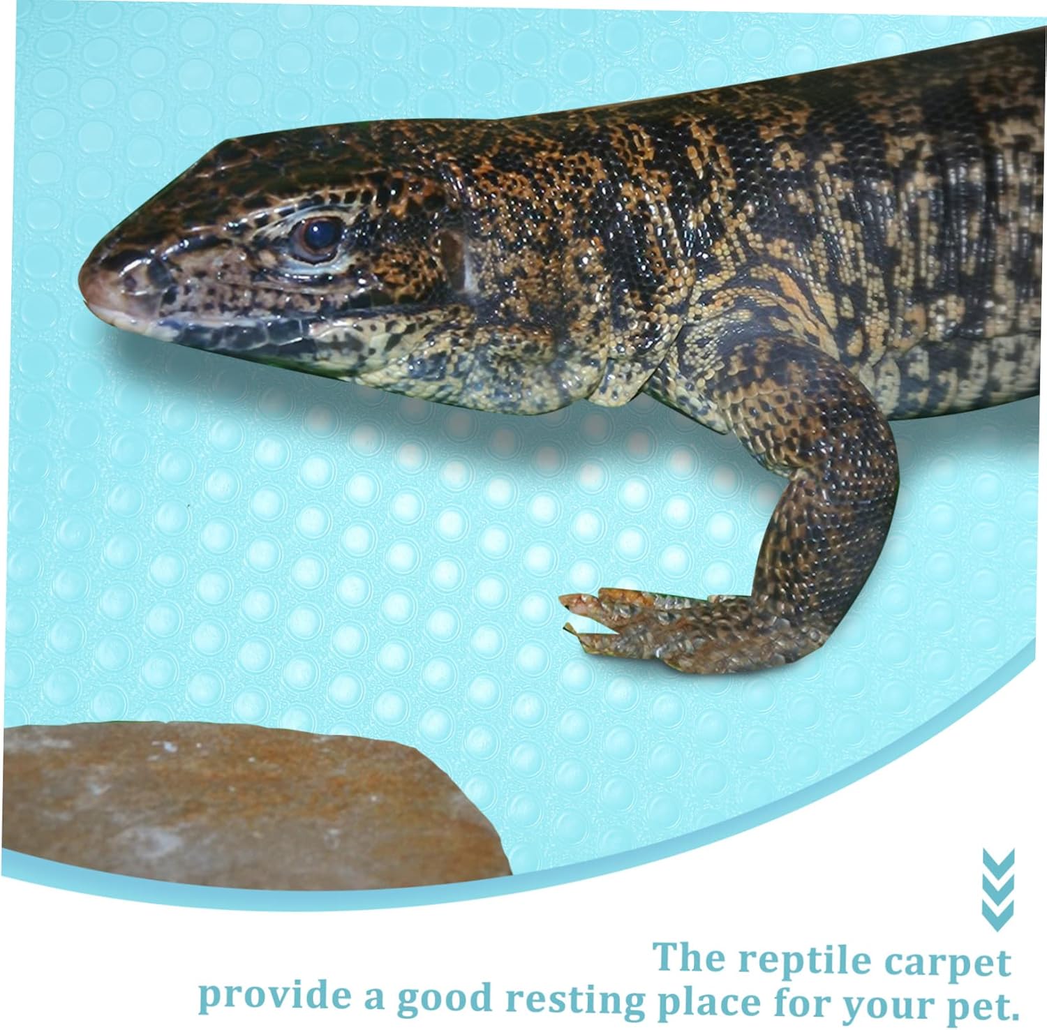 200m Crawling Carpet for Reptile Enclosures Snake Gecko Turtle Tank Accessories