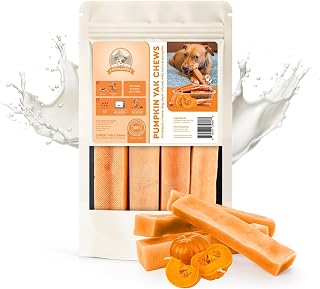 KATHMANDU'S 100% Natural Pumpkin Flavored Yak Chews – Keep Dogs Busy & Happy with Our Lactose&Rawhide Free Himalayan Dog Chews - Long Lasting Dental Treats for Aggressive Chewers (Large, Pack of 4)