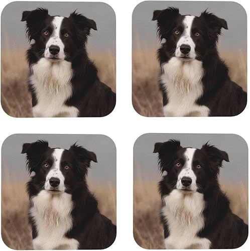 Miniatura 2 de Border Collie - Juego de 4 posavasos de cuero con estampado para bebidas, impermeables, resistentes al calor, para sala de estar, cocina, decoración