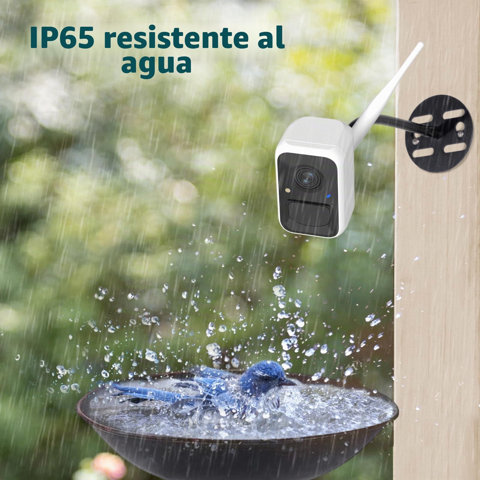 Birdfy Cámara Comedero para Pájaros Inteligente – Versión Mejorada, energía Solar, Captura automática de vídeo, notificaciones instantáneas, IA identifica 6000+ Especies, 1080P cámara para Aves
