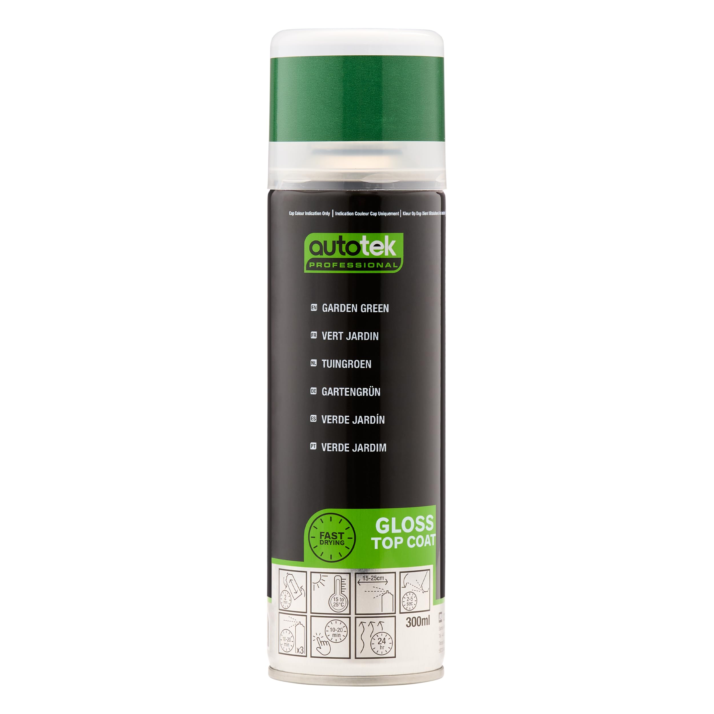 Autotek Professional Garden Green Spray Paint, Aerosol Spray, 300 ml