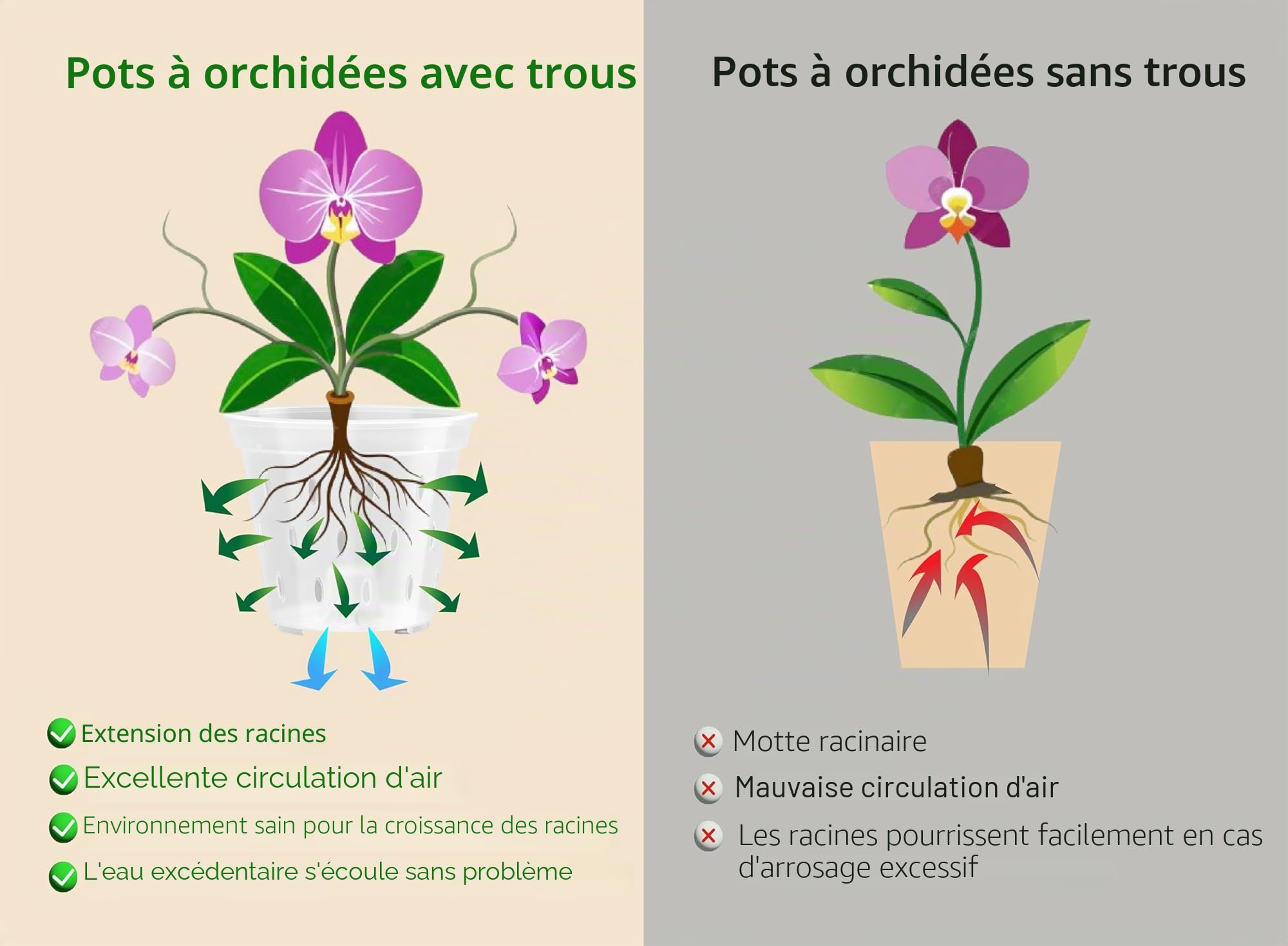 Garten lux Lot de 10 Pots à orchidées Transparents avec Trou de Drainage de 17 cm de diamètre 1,5 l et 10 soucoupes en Plastique pour orchidées pour l'intérieur