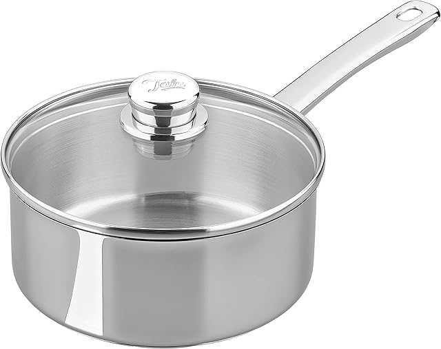 Tala Performance Stainless Steel Cookware 20cm Saucepan with Glass lid. Made in Portugal, with Guarantee, Suitable for All hob Types Including Induction (10A14339)