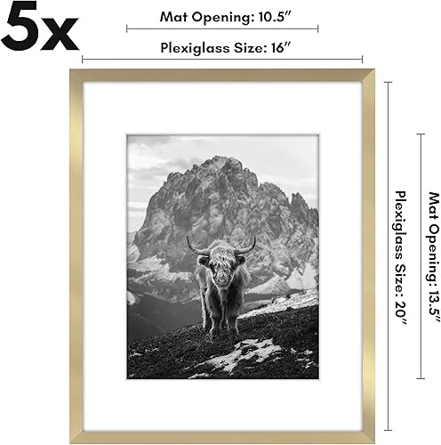 Vista 471 de Americanflat Portarretratos de 5 x 6 pulgadas con plexiglás pulido, juego de 5 portarretratos de 2 x 3 pulgadas con paspartú o para fotos de 5 x 6