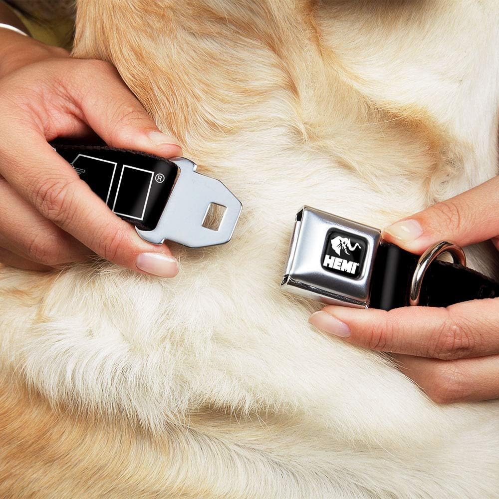 Buckle-Down Seatbelt Buckle Dog Collar - HEMI Bold Outline Black/White - 1.5" Wide - Fits 18-32" Neck - Large (Pack of 2)