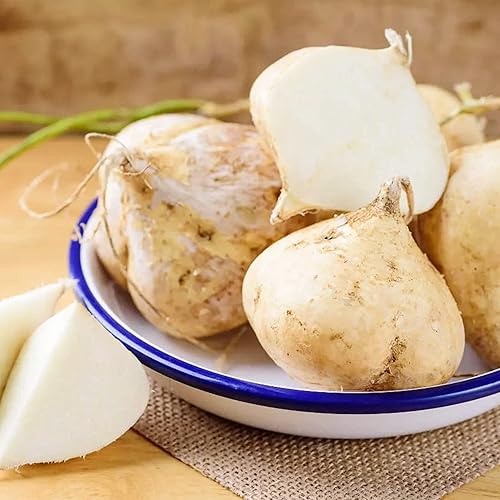 Miniatura 1 de QAUZUY GARDEN 50 semillas de jícama, semillas de ñame, nabo dulce, semillas de papa, semillas de vegetales sin OMG, sabrosas y nutritivas, fáciles