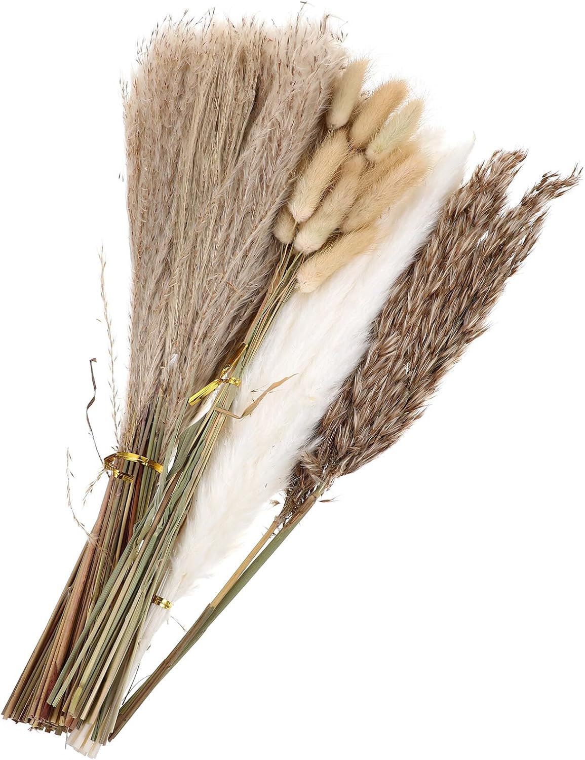 Ciieeo Preserved Dried Phragmites Bouquet Natural Reed Flower Decoration Boxed Set for Home Décor Wedding Table Arrangement