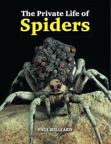 The Private Life Of Spiders