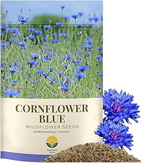 Bachelor Button Seeds – Blue Cornflower – 5,500+ Seeds – 1 oz Bulk...
