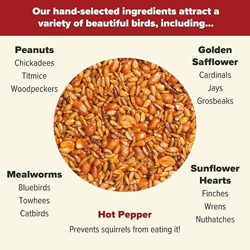 Miniatura 5 de Mr. Bird Paquete de 6 bolsas de semillas sueltas Flaming Hot Feast de 2 libras.