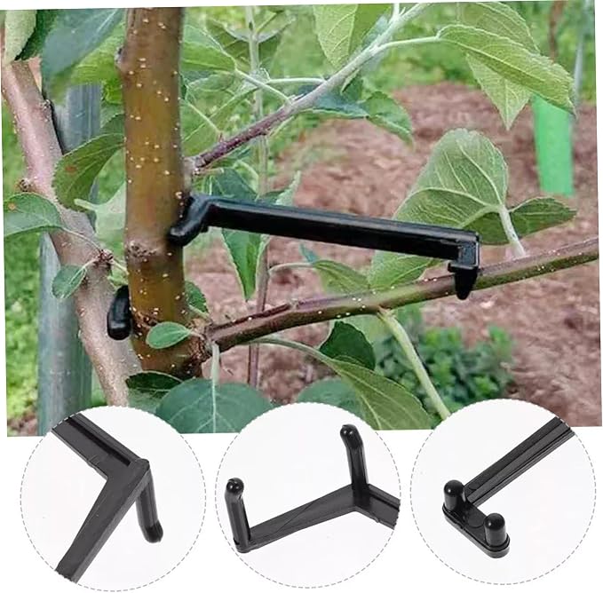 Separadores plásticos ajustables para ramas de árboles frutales miniatura 4