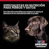 Ver la foto 5