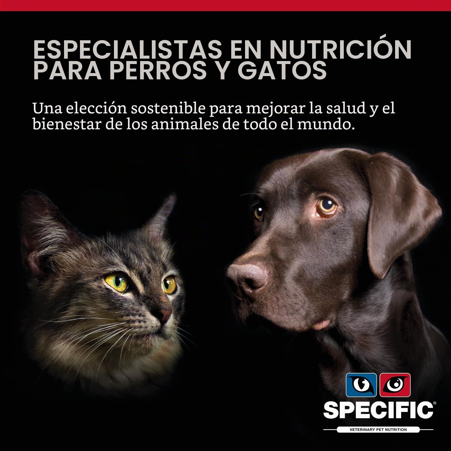 Specific Specific Canine Adult Cdd-Hy Food Allergy Management 12Kg 12000 g