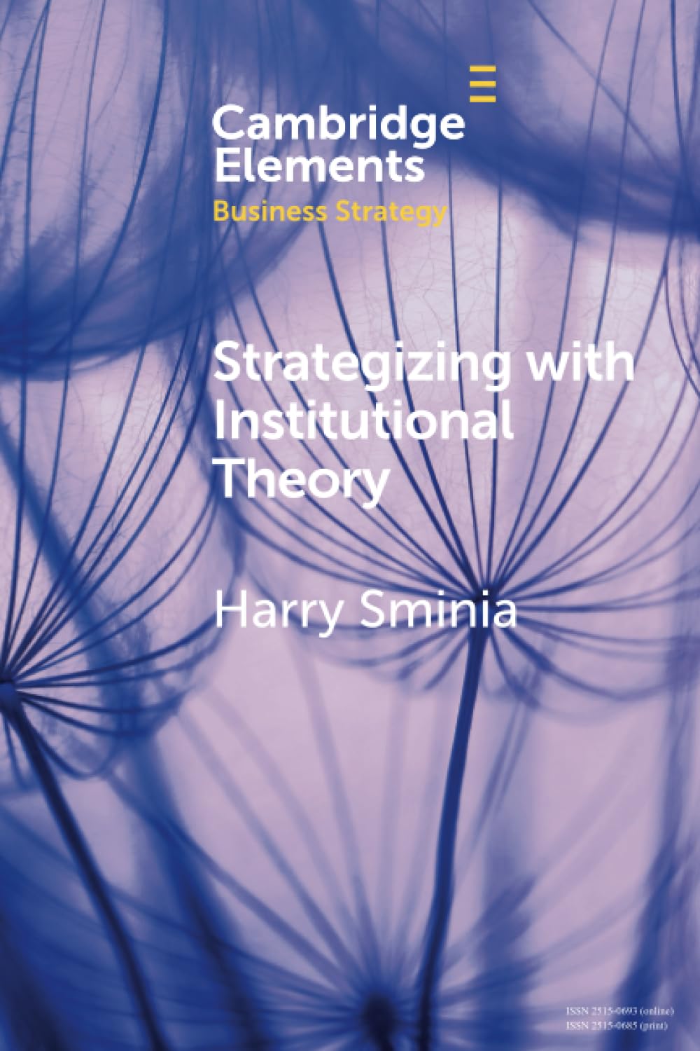 Strategizing With Institutional Theory (Elements in Business Strategy)