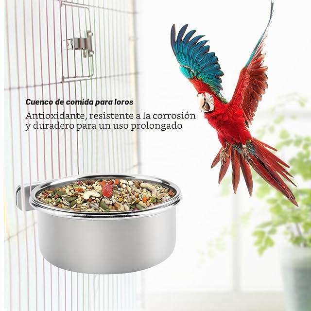 Foto 6 de 8 de Colgante Ajustable Alimentación Agua Alimentación Alimentador Tazón De Acero Inoxidable Loro Periquito…