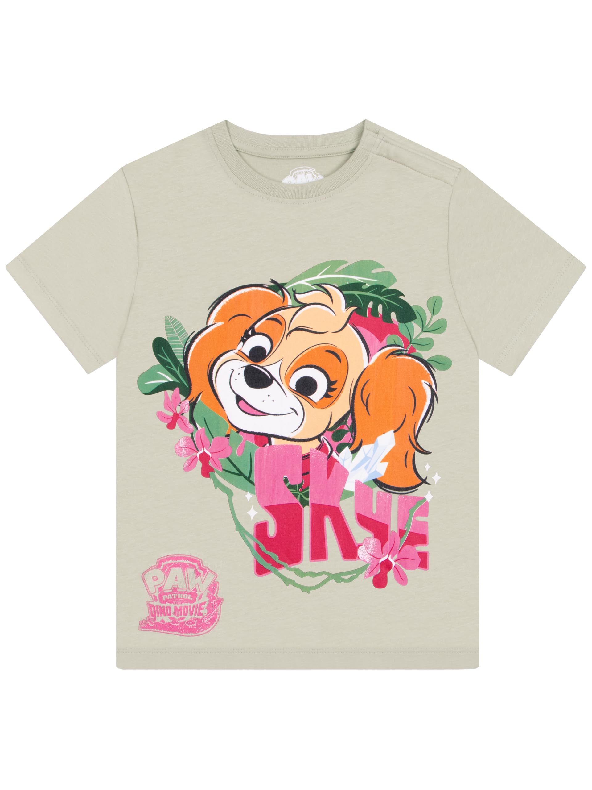 Paw Patrol Girls Adaptive Tshirt, Skye Dino Kids Tshirt, Ages 24 Months to 8 Years