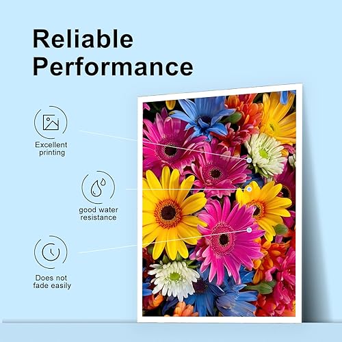 Miniatura 4 de TEINO Cartucho de tinta remanufacturado de repuesto para cartuchos de tinta Epson 252XL para Workforce WF-7710 WF-3640 WF-7720 WF-3620 WF-7620