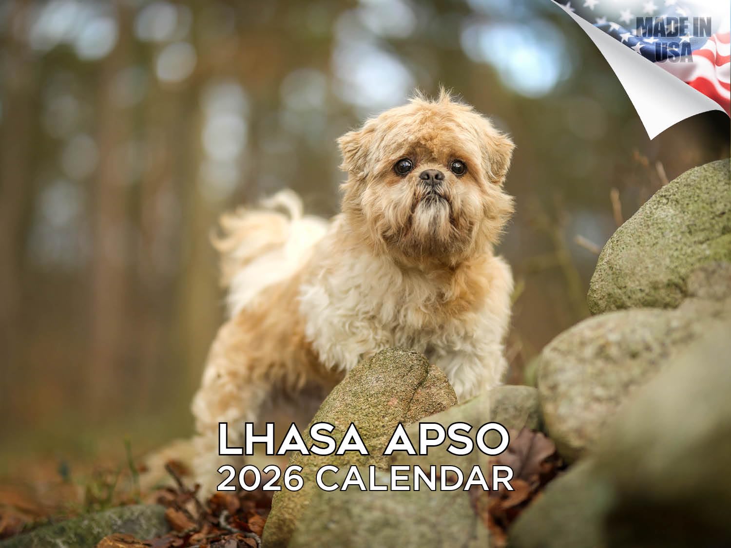 Kalendarz 2024 2025 Lhasa Apso - miesięczny kalendarz ścienny rasy psów - 30 x 45 cm otwarty - gruby papier bez przebarwień - prezent - akademicki planer nauczyciela kalendarz organizowanie i