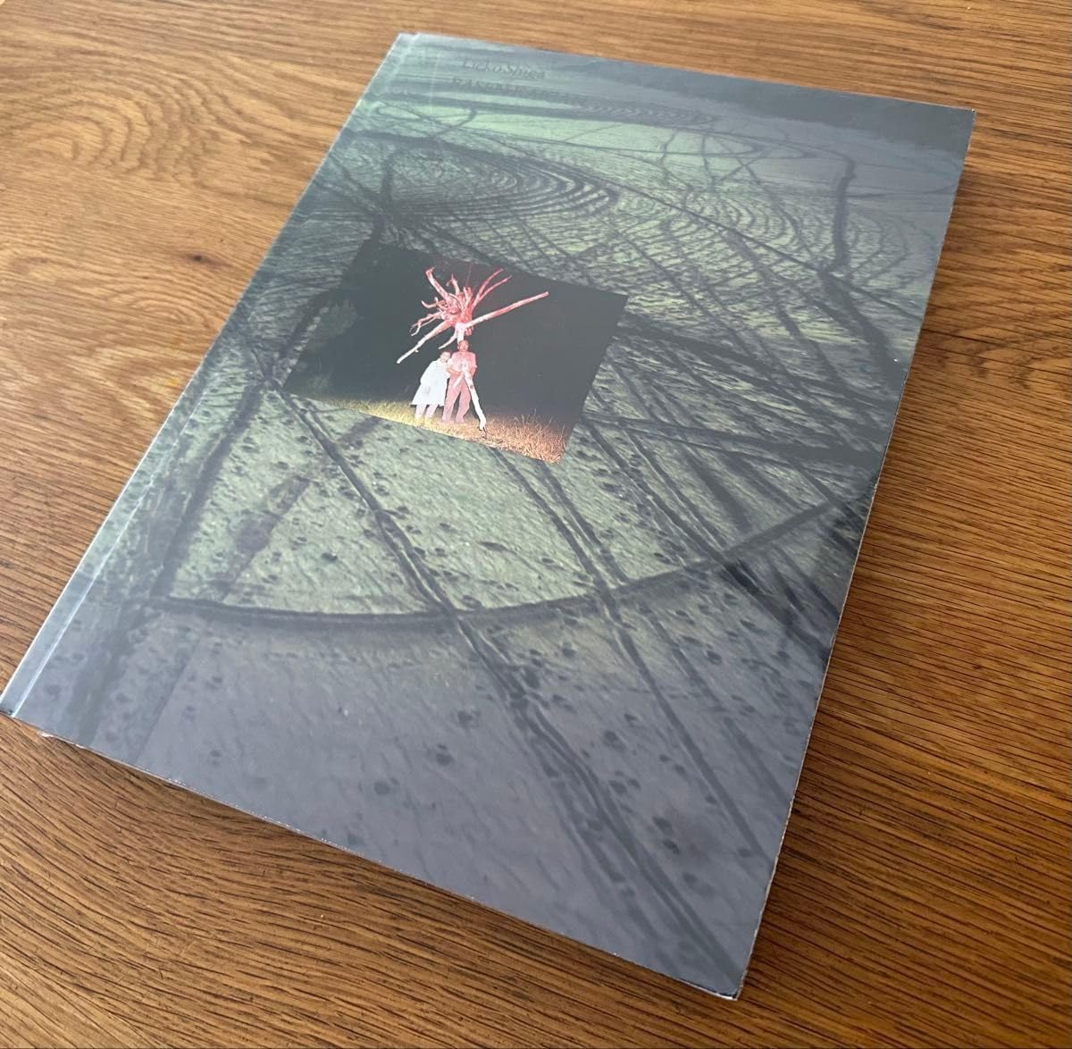 志賀理江子 螺旋海岸 Notebook 赤々舎 螺旋海岸 album 志賀理江子 赤々舎 Lieko Shiga 螺旋海岸｜notebook