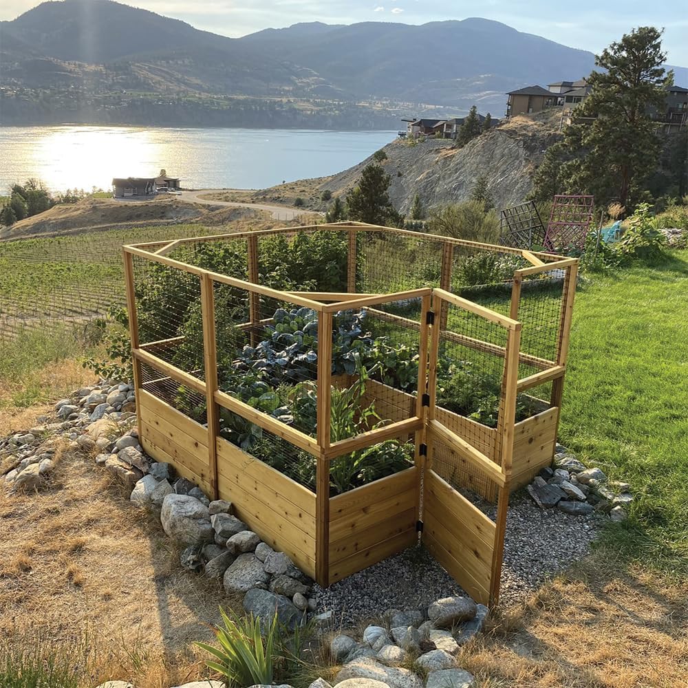 Outdoor Living Today 8x8 Deer Proof Raised Garden Bed