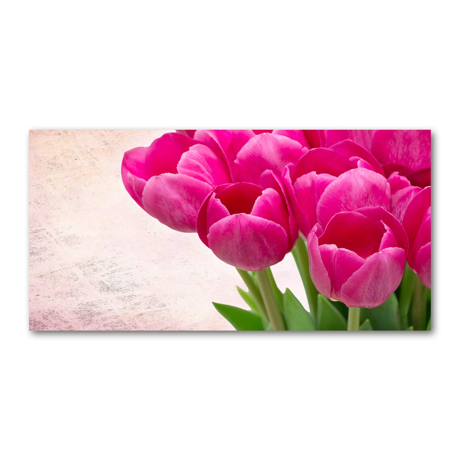 Impression sur verre cuisine et salon tableau panoramique tulipes violettes