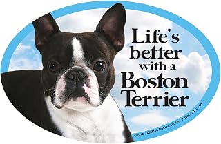 Prismatix Decal Cat and Dog Magnets, Boston Terrier