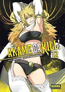 Akame Ga Kill! 12