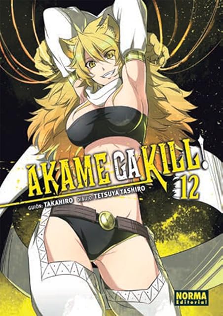Portada de Akame Ga Kill! 12