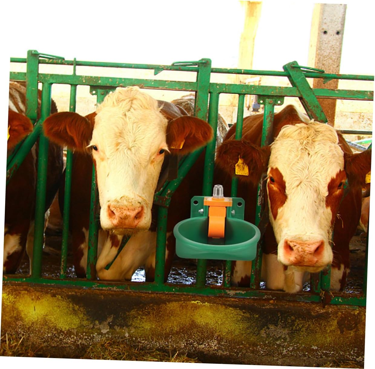 Yardwe 2pcs Automatic Drinking Bowl for Goats and Sheep Plastic Water Dispenser for Cattle Livestock Water Bowl Float Valve