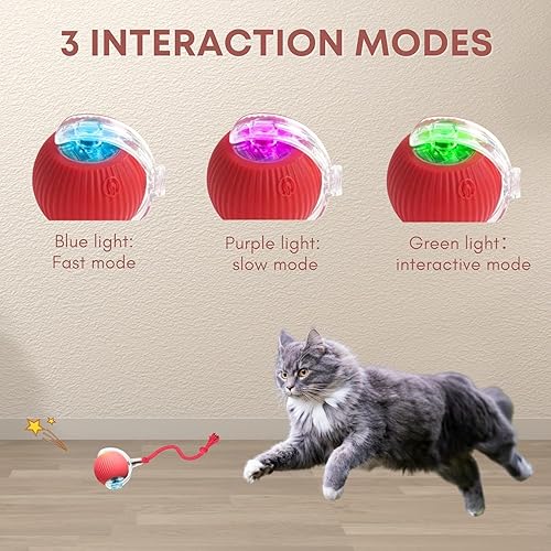 Rocfish Durable Interactive Cat Toys for Indoor Cats — alternate angle