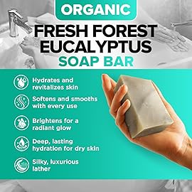 Fresh Forest Eucalyptus Soap Bar (2 Pack) with Spearmint for an Invigorating and Soothing Cleanse - Face & Body Wash - Infused with Shea Butter for Rich Creamy Lather & Long-Lasting Freshness