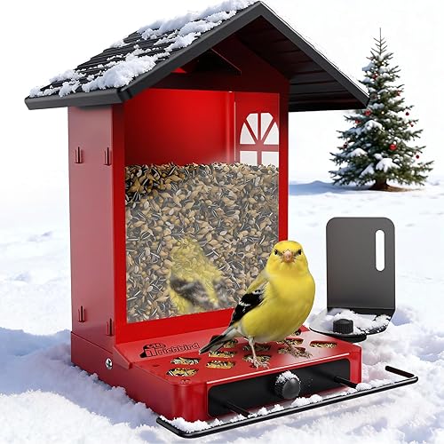 All-Metal Bird Feeder, Wall & Pole Mountable, 2.4L Large Capacity,