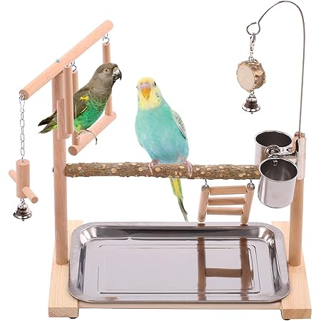 macaw play gym