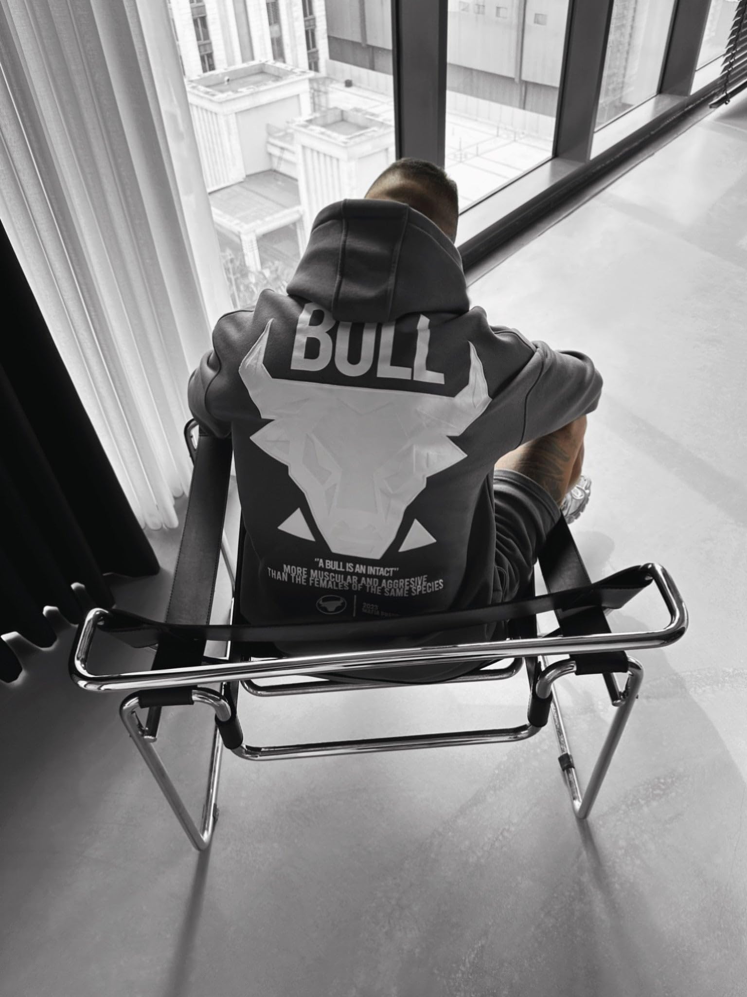 Oversize Bull Hoodie - Anthracite