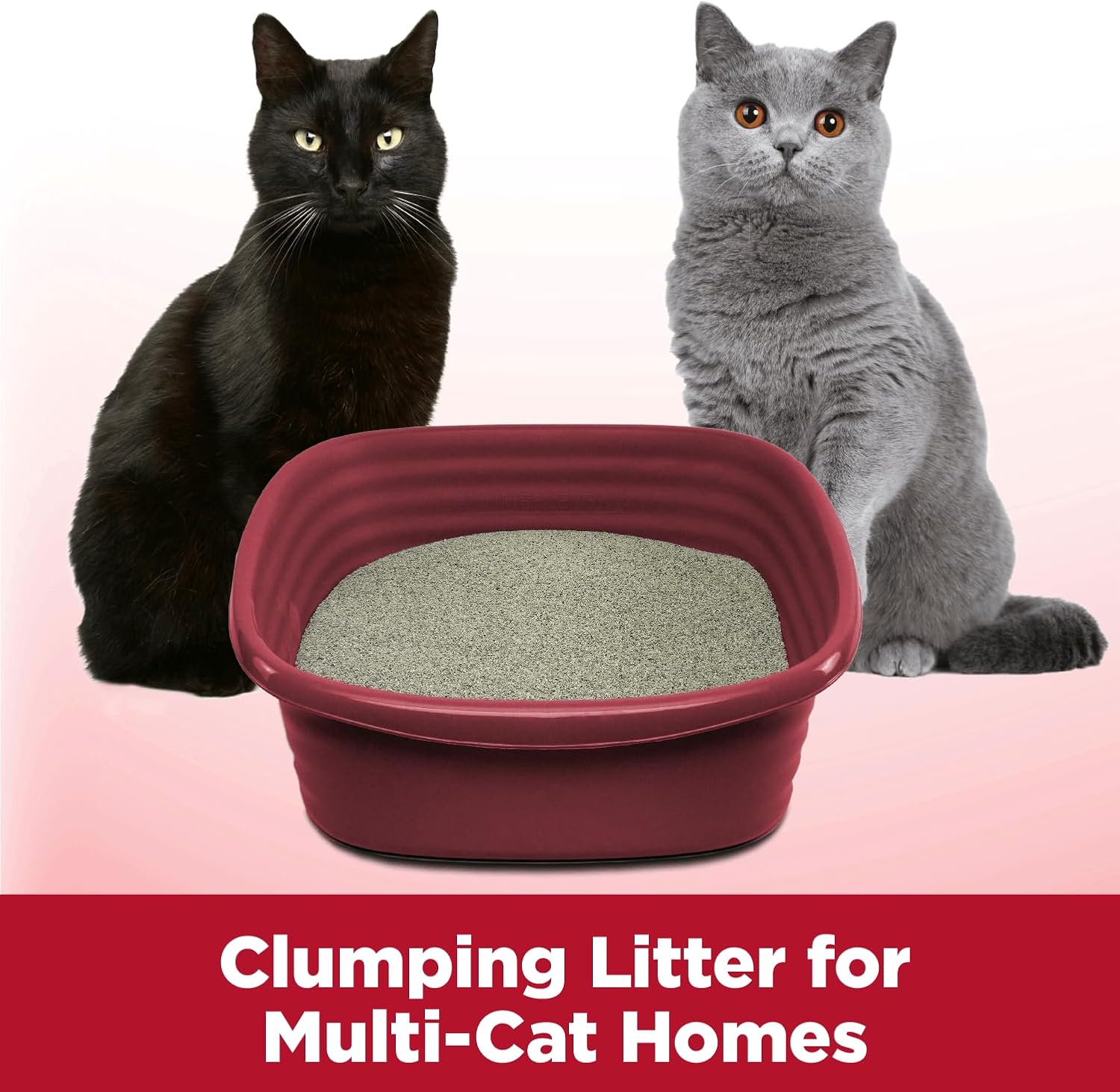 Arm & Hammer Clump & Seal Litter, MultiCat 19lb Box