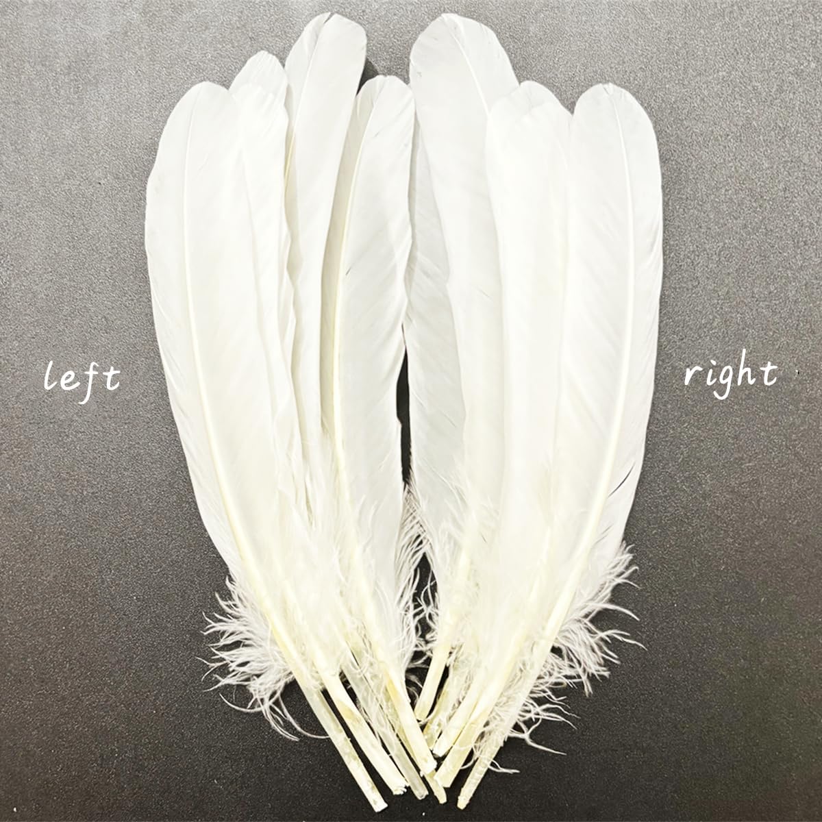 長さ8~9インチ、美しい羽21~23cmのホワイトフェザー50個、ビッグサイズの両側天然ガチョウの羽、ウェディングドレスやパーティー