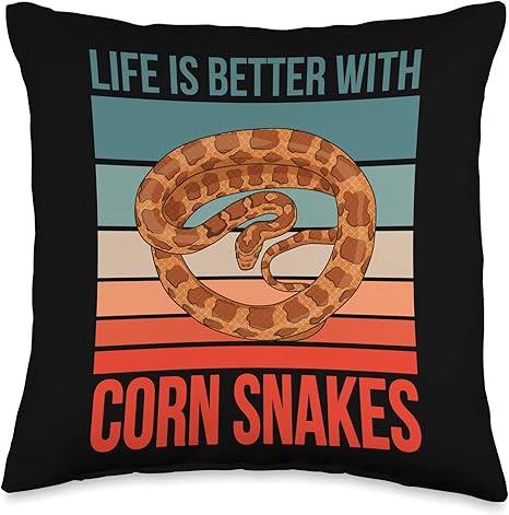 corn snake accessories