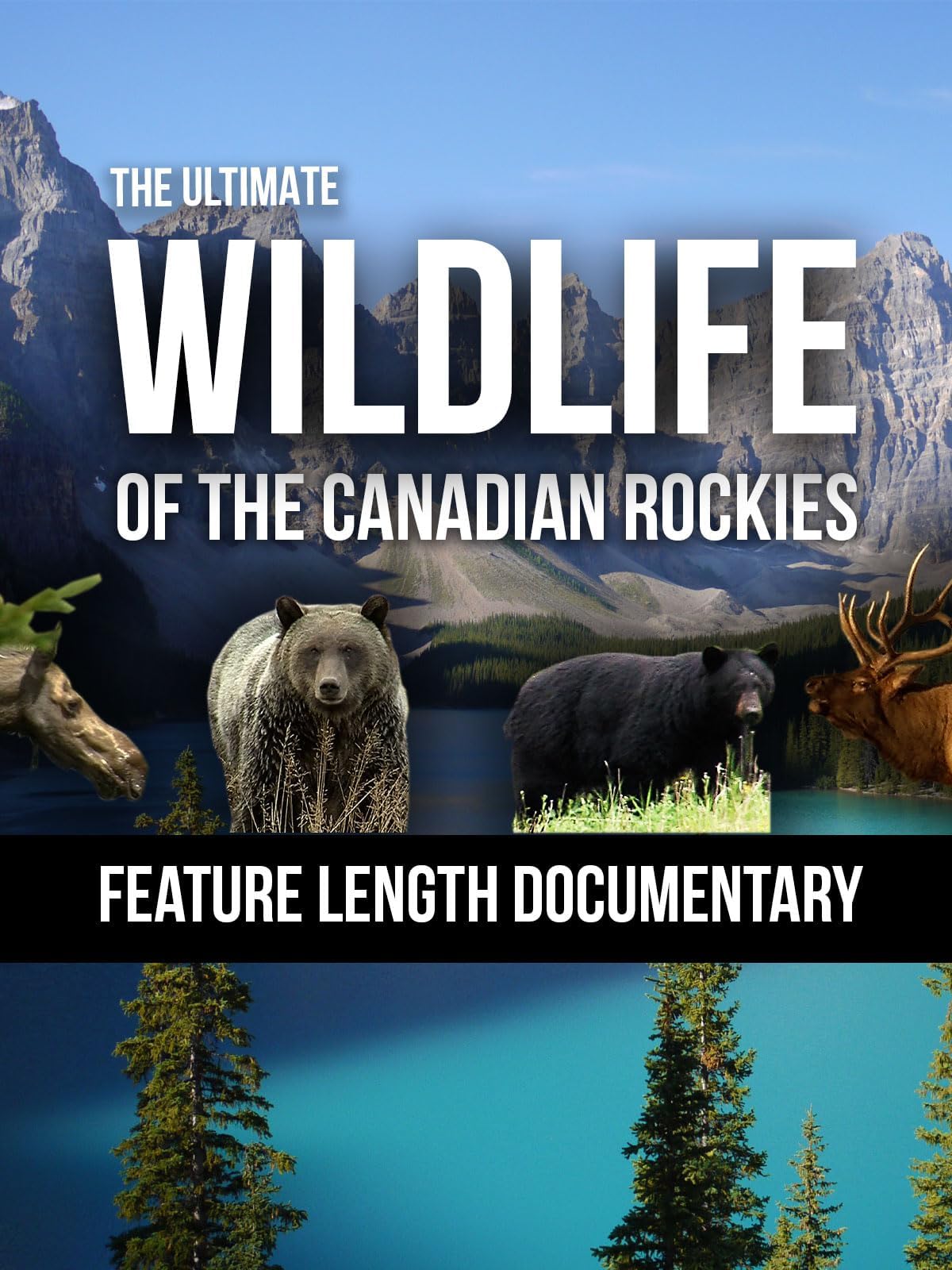 The Ultimate Wildlife Of The Canadian Rockies