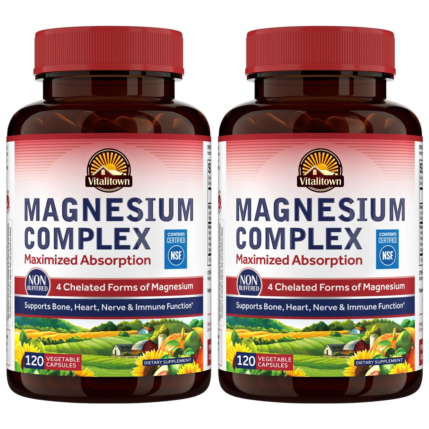 Vitalitown Magnesium Complex Supplement 500mg - NSF Certified Magnesium Glycinate, Malate, Taurate & Citrate - Chelated High Absorption & Gentle on Stomach - Vegan Non-GMO 2 Packs 240 Capsules 120 Count (Pack of 2)